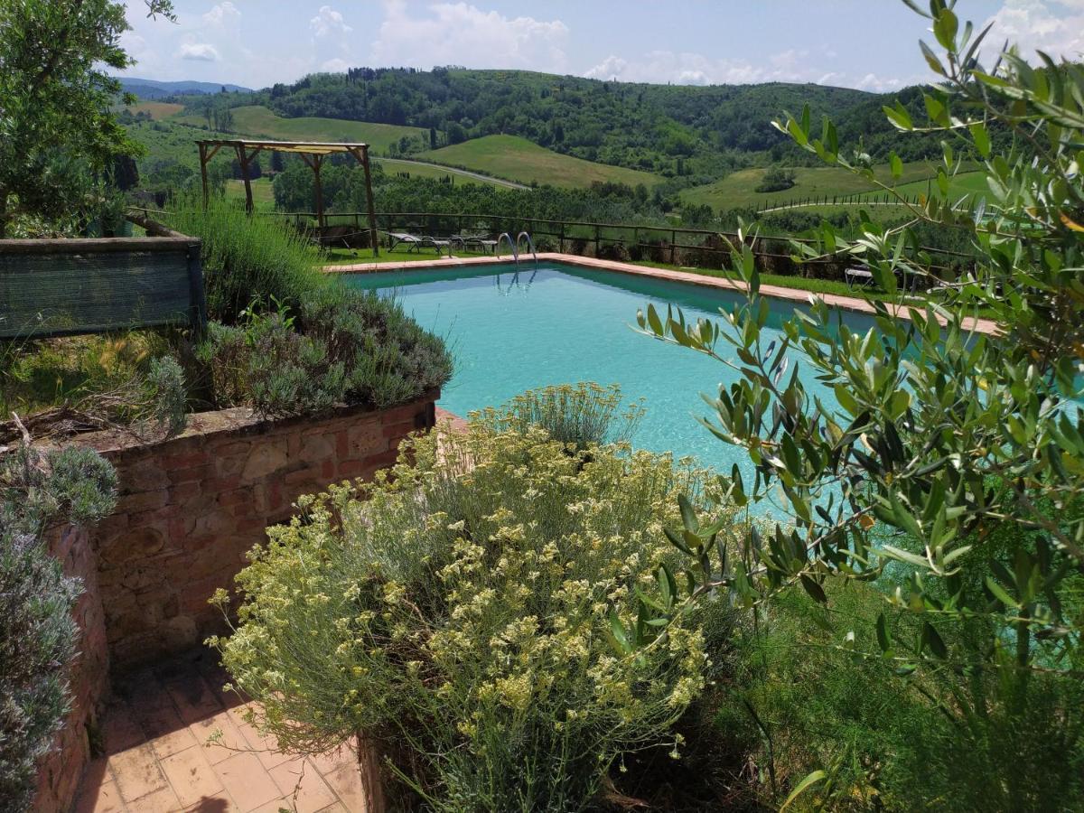 Antonella House -Podere Della Collina Palaia Exterior foto