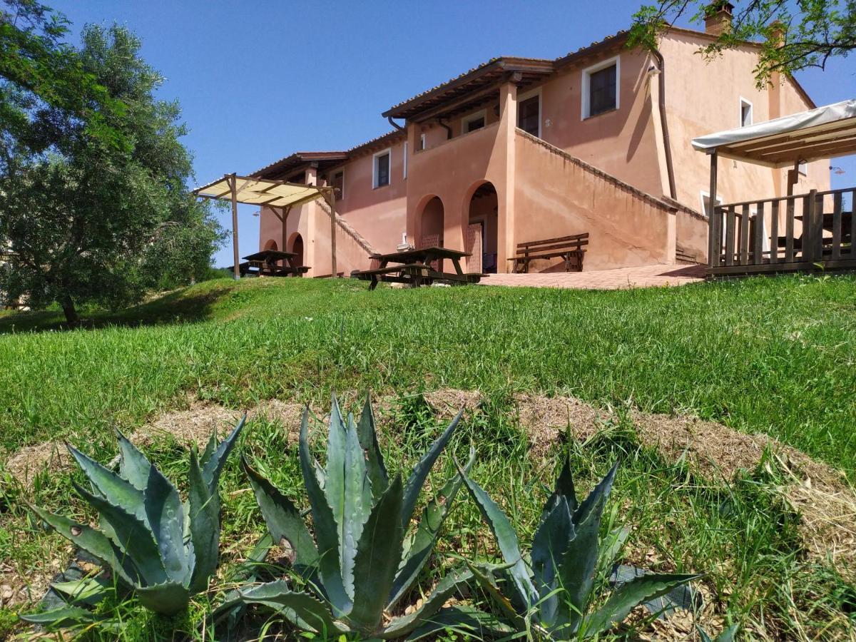 Antonella House -Podere Della Collina Palaia Exterior foto