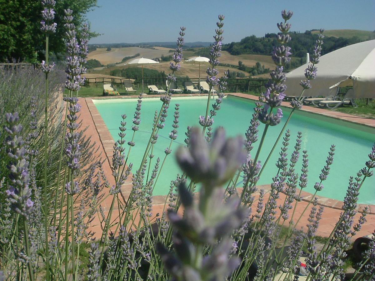 Antonella House -Podere Della Collina Palaia Exterior foto